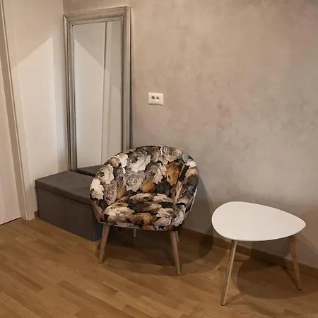 Modern Studio In Pipanova *